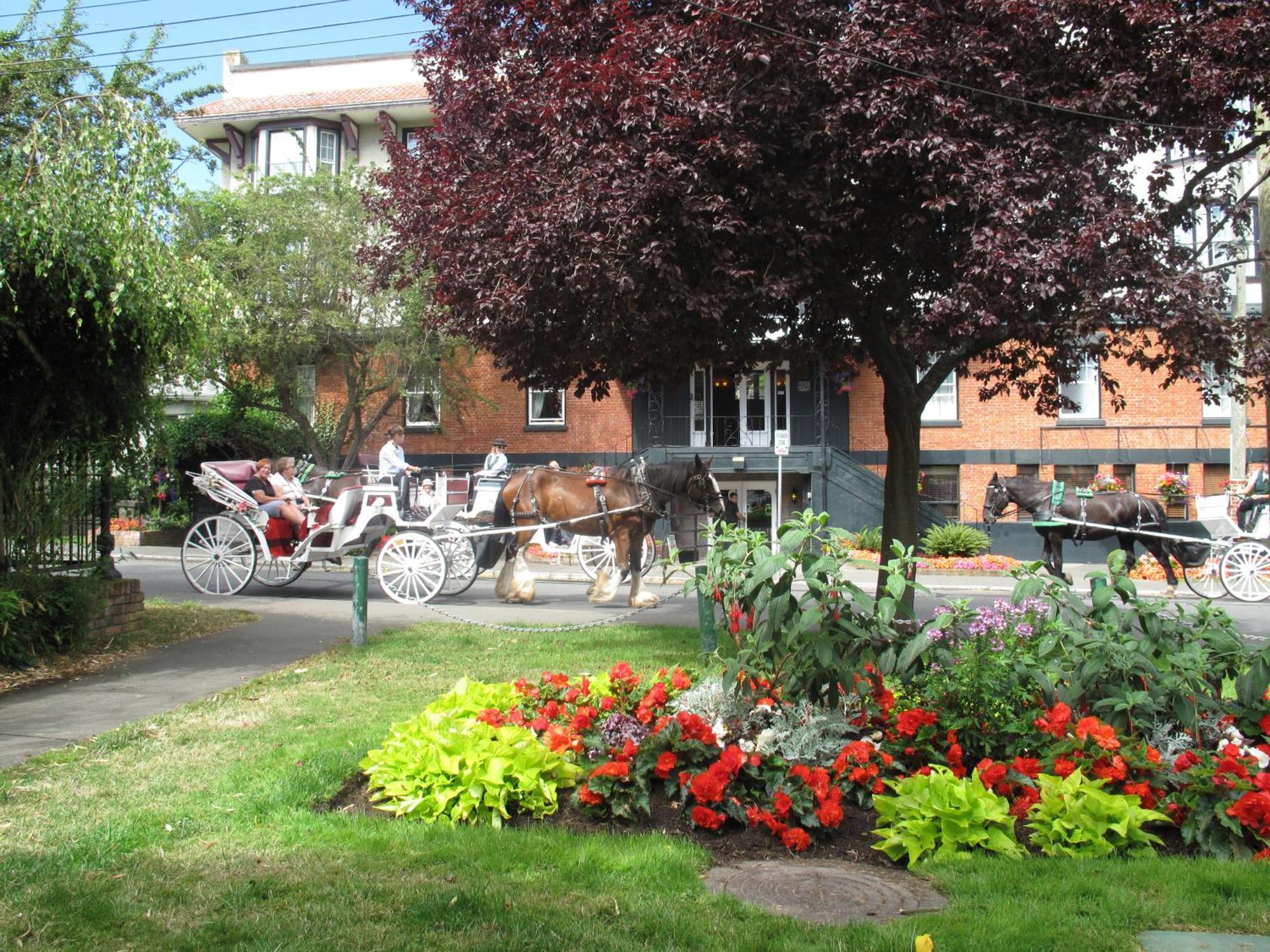 James Bay Inn Hotel, Suites & Cottage Виктория Екстериор снимка
